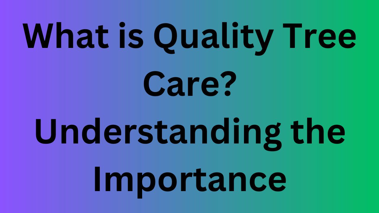What is Quality Tree Care? Understanding the Importance